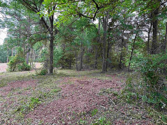 5th image of 13925 County Road 291