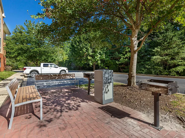 Picnic Area
