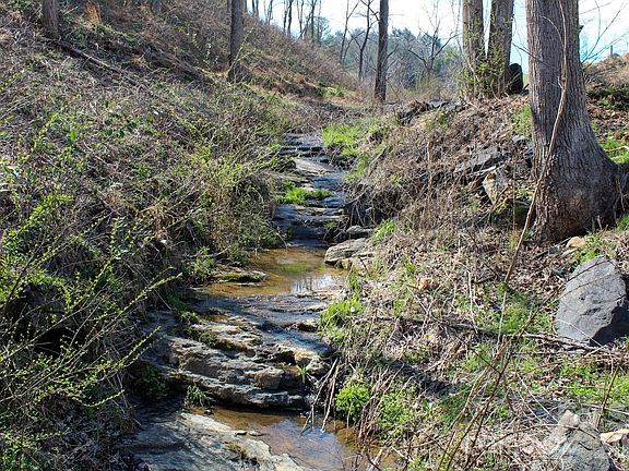 5th image of 99999 Fletcher Martin Rd