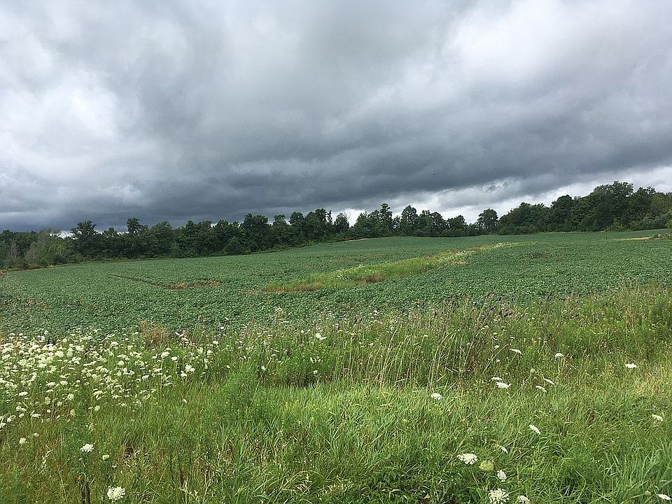 View from Guilford Road