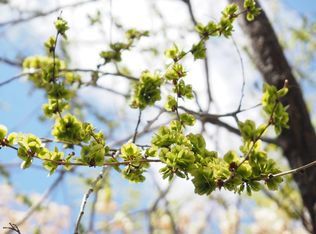 248 Maynard St #1, Santa Fe, NM 87501