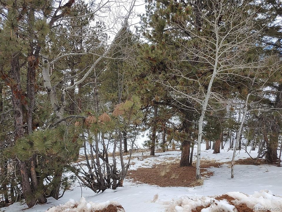 1st image of 61 Lost Park Cir