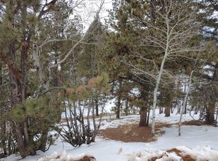 61 Lost Park Cir, Florissant, CO 80816