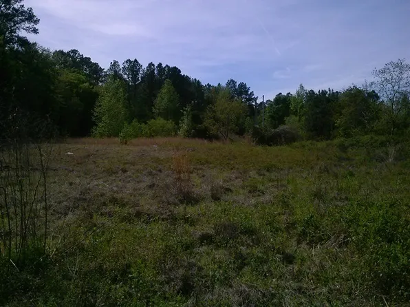 10901 SW 103rd St, Brooker, FL 32622