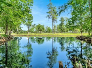 Corkwood Ln, Astatula, FL 34705