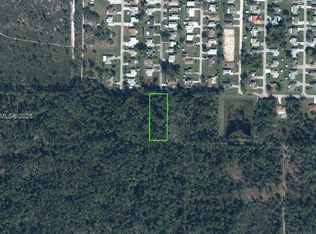 Orange Blossom Acre Lots, Sebring, FL 33875