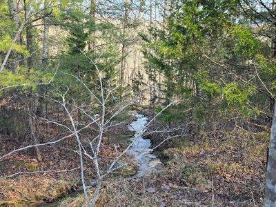 20-23 Bear Hollow Ln, Livingston, TN, 38570