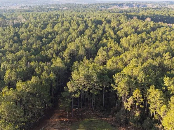 0 Lin Frank Line Dr SW, Mc Call Creek, MS 39647