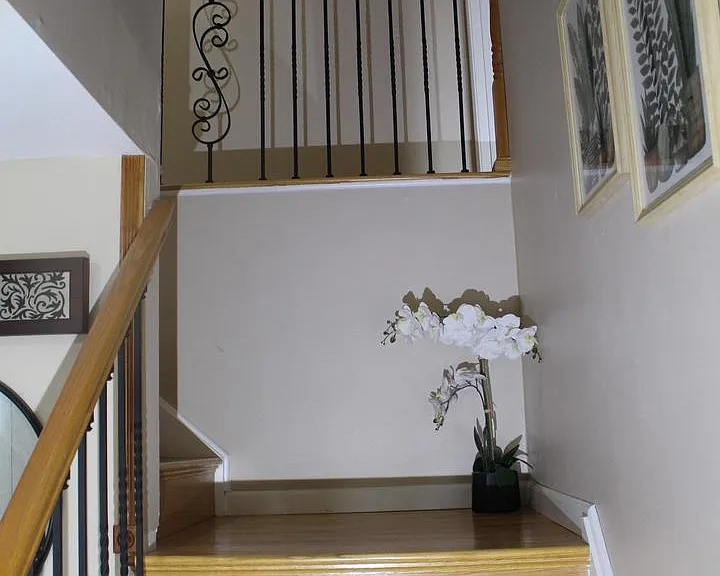219 Meadow Dr — Photo 19