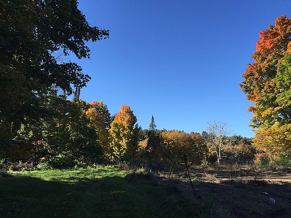 Under the maples.