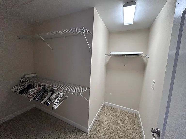 4540 Pebble Lake Dr — Photo 54