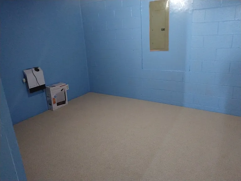 339 Lafayette St #339 — Photo 5