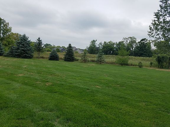 More of the Back Yard