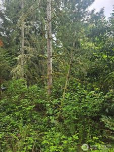 41 E Isabella, Belfair, WA, 98528