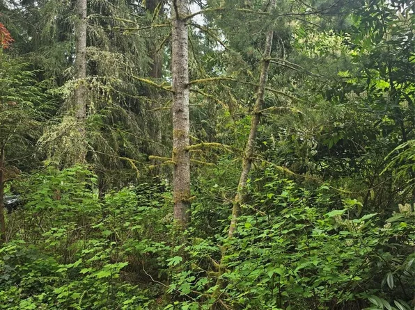 41 E Isabella, Belfair, WA 98528