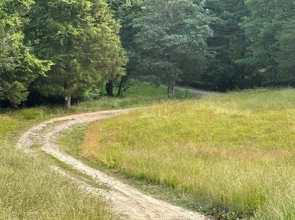 1811 Timber Rdg, Buchanan, VA 24066