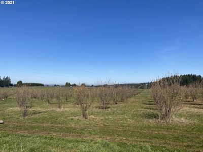 35915 SE Wildcat Mountain Dr, Eagle Creek, OR, 97022