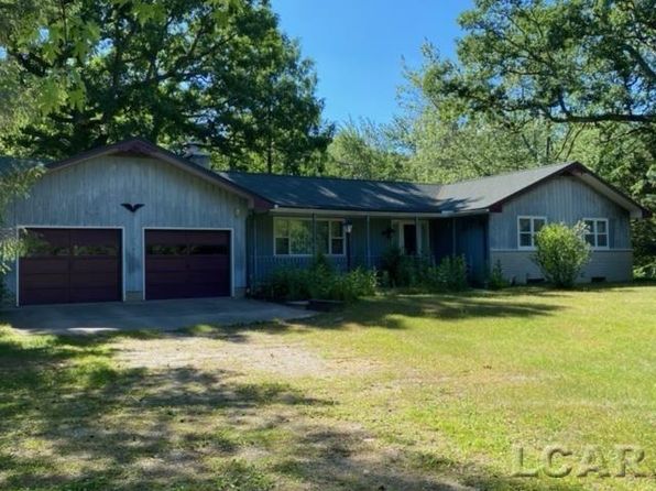 homes for sale in new era mi