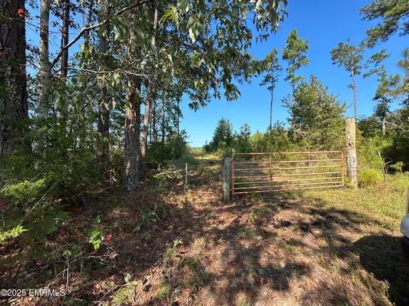 Road 2808, Philadelphia, MS 39350