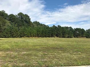 2221 Wood Stork Dr LOT 450, Conway, SC 29526