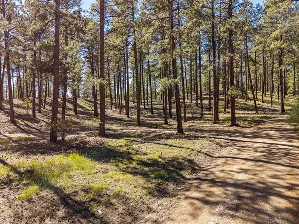 264 Badger Road, Bayfield, CO 81122