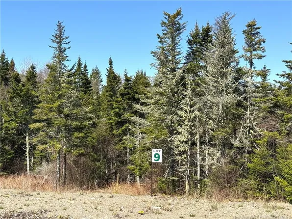 25 Hillside Ln #9, Saint George, NB E5C 1Y2
