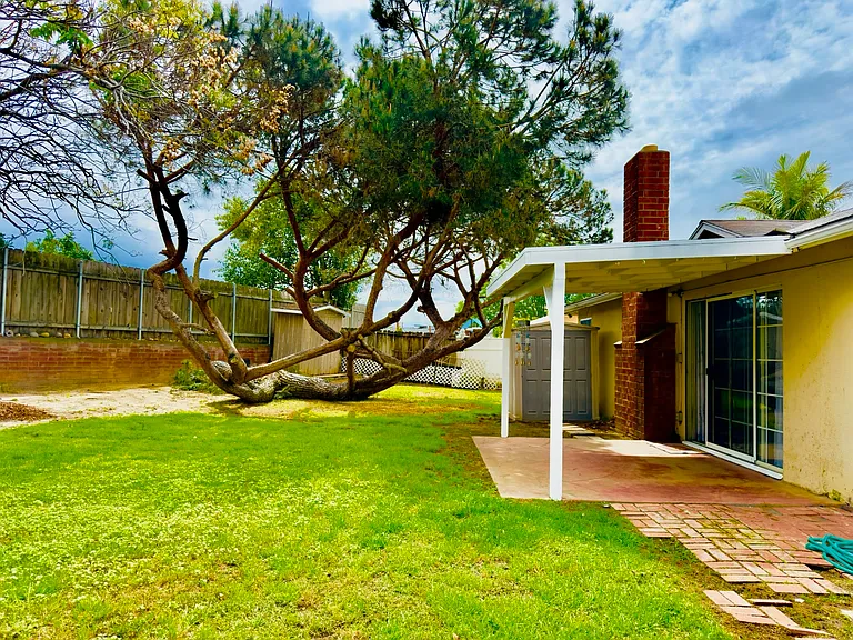 Backyard