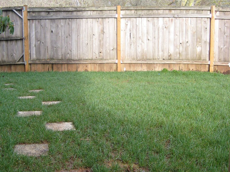 Fenced Yard