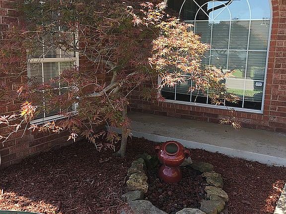 Garden at Front Door
