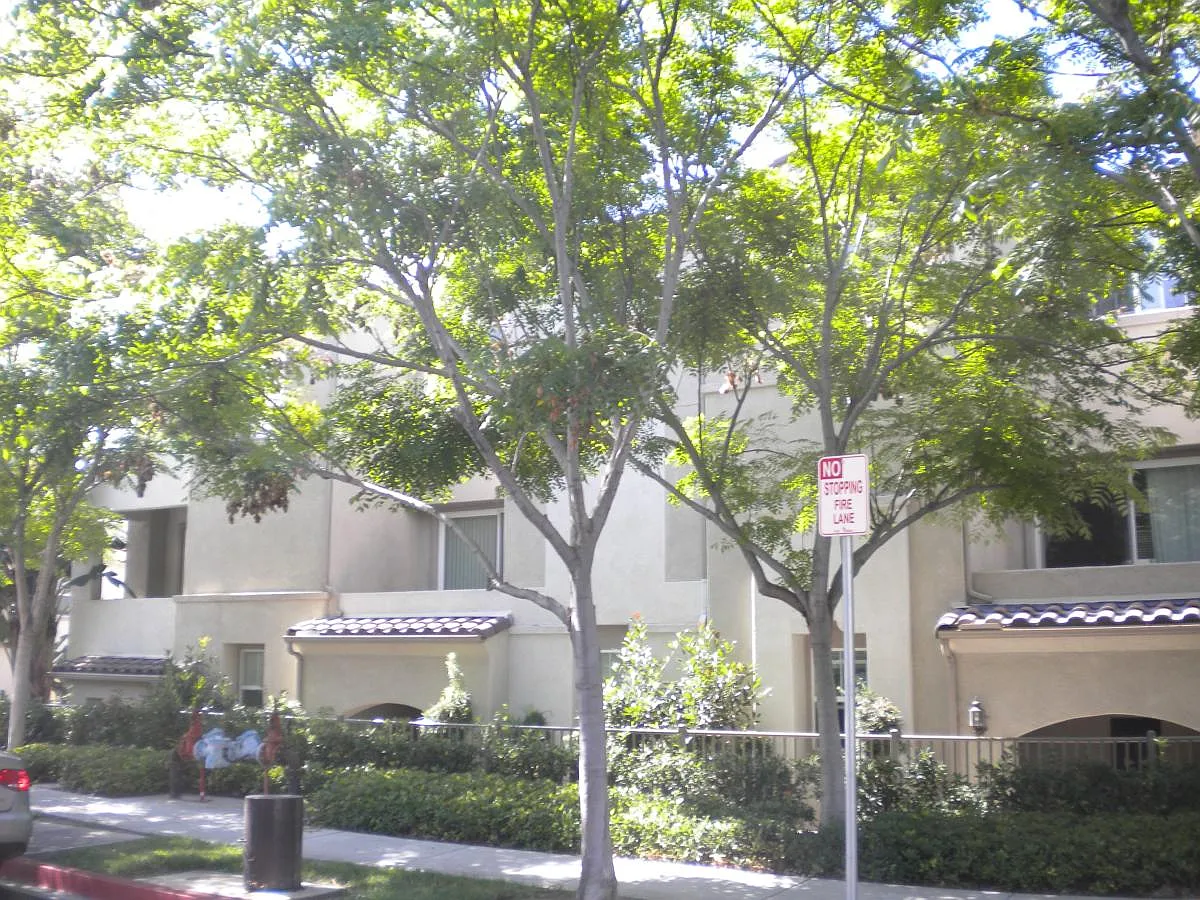 3 bed, 1237 sqft, $3,430 — Photo 2