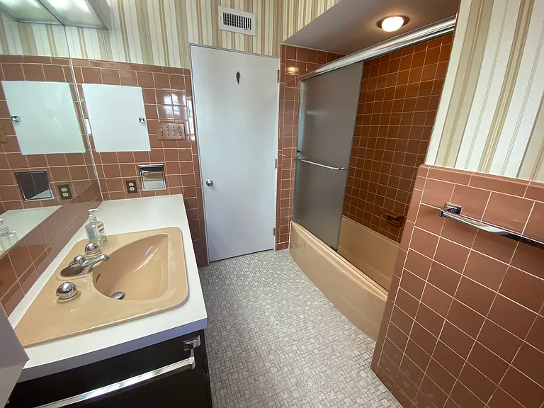 Main Bathroom pic 1