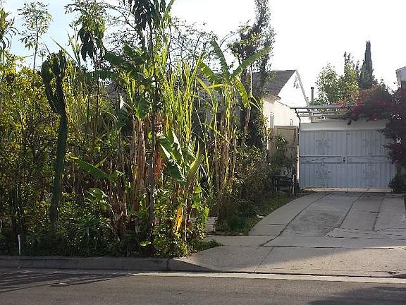 2nd image of 1629 Wellesley Ave