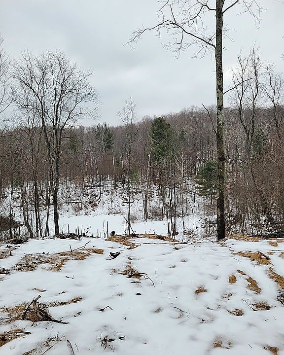 1st image of 4739 Thornburg Trl NW