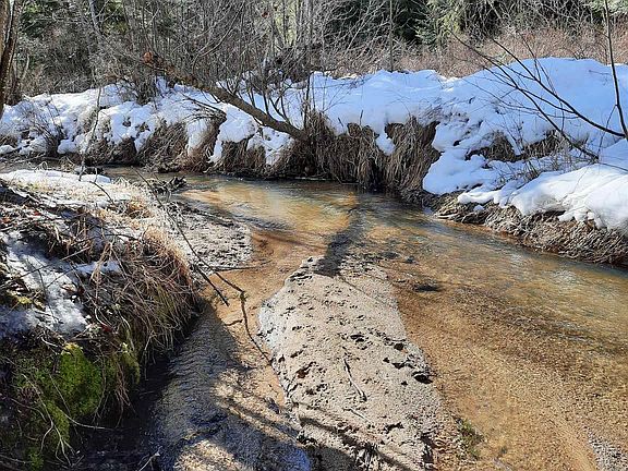 2nd image of E Antler Rd