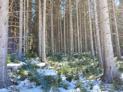 210 Cow Hill Road, West Danville, VT, 05873