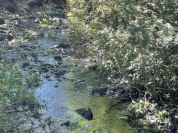 4th image of 928 Holland Pond Rd