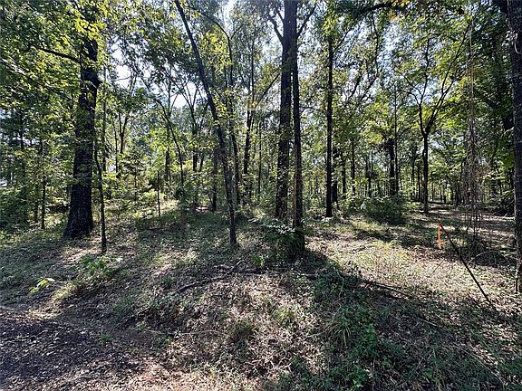 4th image of N/a County Rd Lot 58-2938