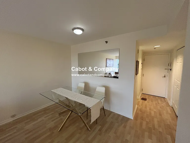 170 Tremont St #703 — Photo 5