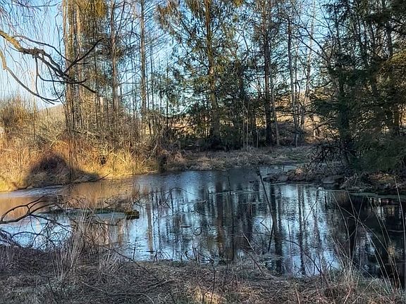 4th image of 776 Teas Rd