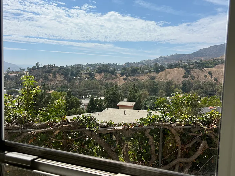 VIEW FROM BEDROOM WINDOW