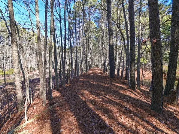 LOT 1 Peaceful Shores Dr, Exmore, VA 23350