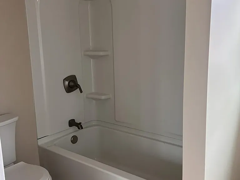 Bathroom (tub and shower)