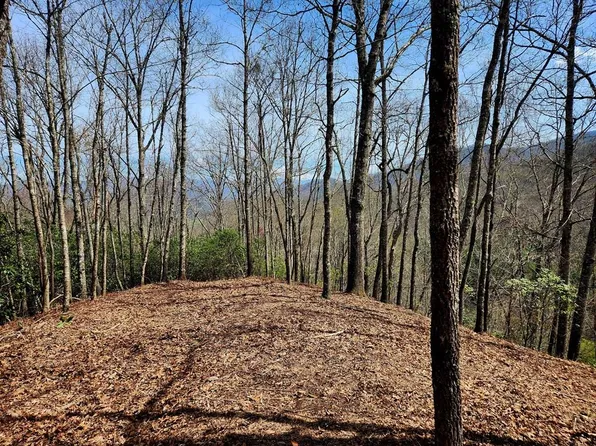 0 Cabin Rdg, Cullowhee, NC 28723