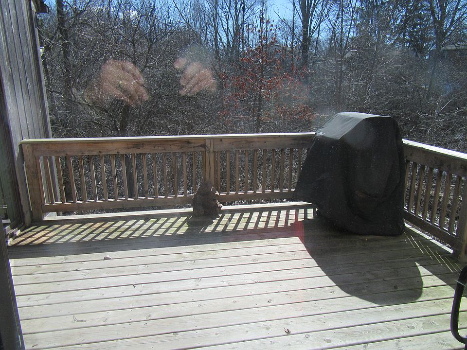 1st image of 2145 Pauline Ct