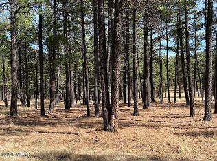 1 County Road 2115, Alpine, AZ 85920