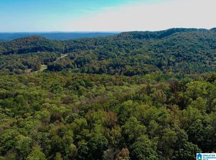 1 Kim Dr #A, Springville, AL 35146