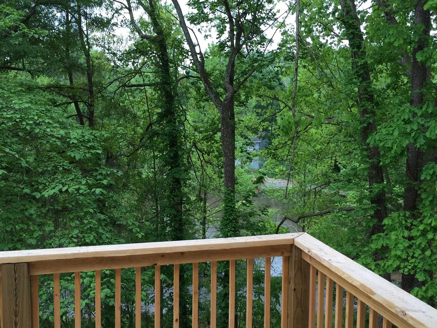 2 bed, 1.5 bath, 800 sqft, $1,095 — Photo 3