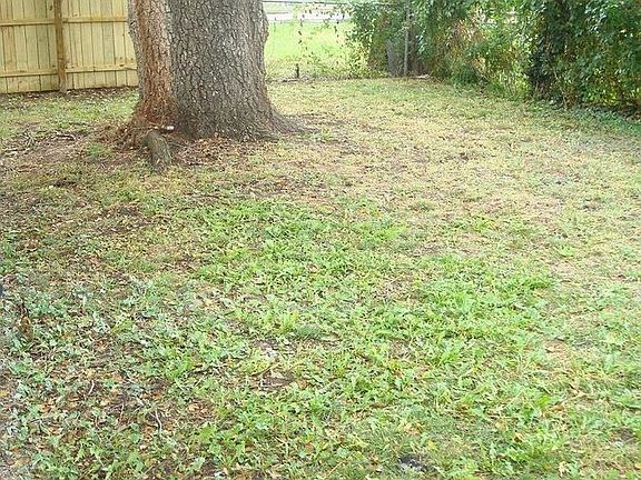 3rd image of 239 N Phillips Ave
