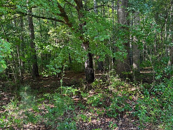 2nd image of 89 Trellis Ct