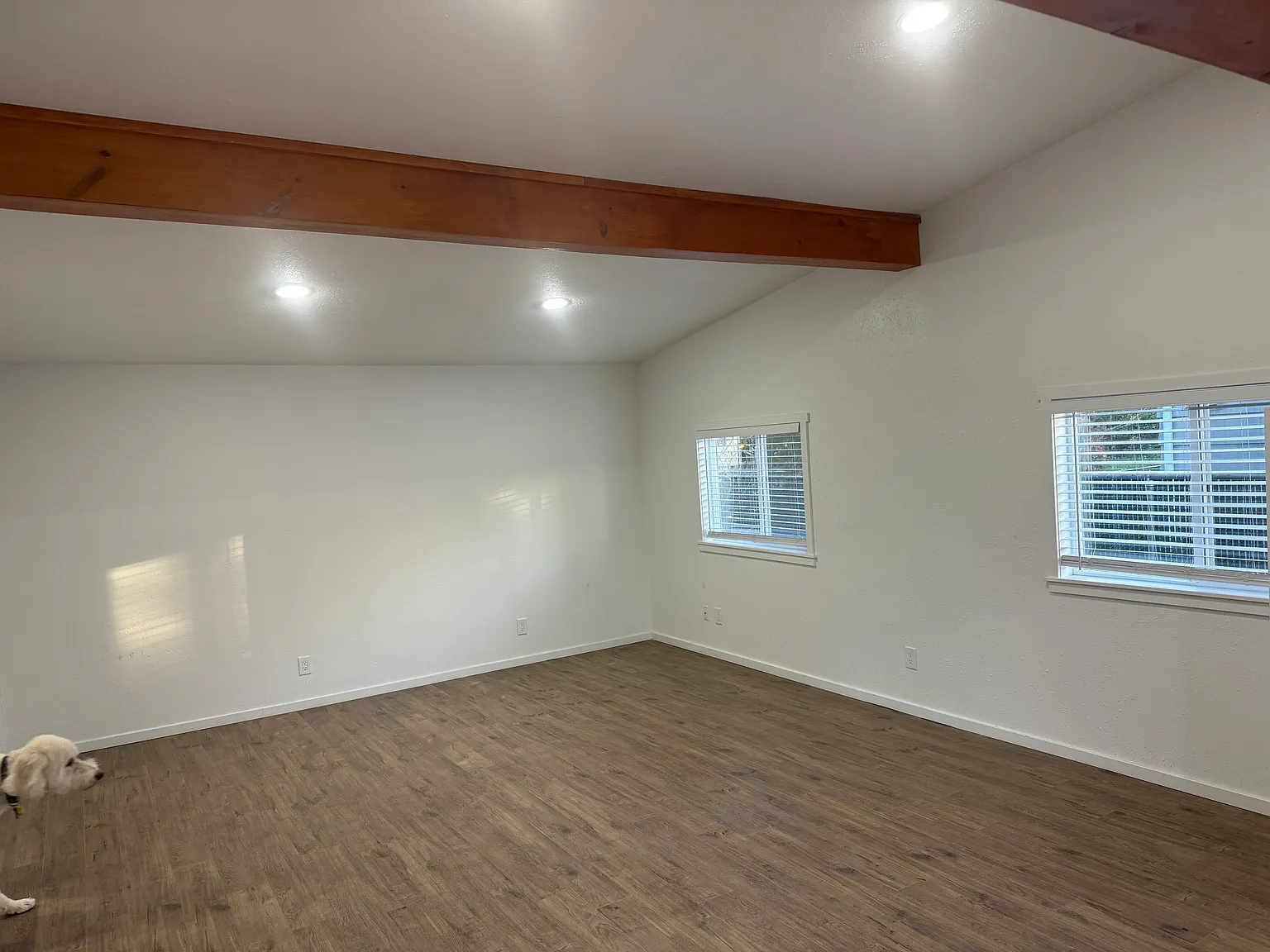 1 bed, 663 sqft, $1,625 — Photo 3